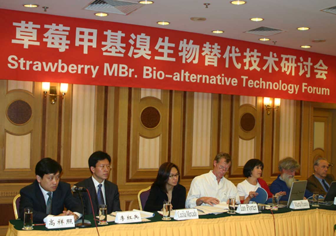 聯合國環境署、聯合國工發組織等機構出席了我公司舉行的草莓甲基溴生物替代技術研討會
